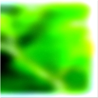 200x200 Картинки Зеленое лесное дерево 02 108