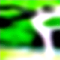 200x200 Clip art Árbol forestal verde 02 11