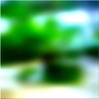 200x200 Clip art Árbol forestal verde 02 116