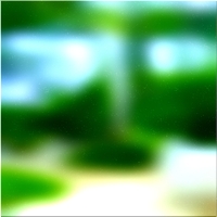200x200 Картинки Зеленое лесное дерево 02 125