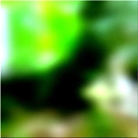 200x200 Clip art Arbre de la forêt verte 02 13