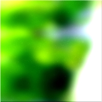 200x200 Картинки Зеленое лесное дерево 02 158