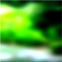200x200 قصاصة فنية شجرة الغابة الخضراء 02 164