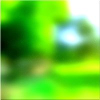 200x200 Картинки Зеленое лесное дерево 02 205