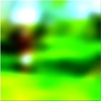 200x200 Картинки Зеленое лесное дерево 02 207