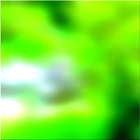 200x200 Clip art Green forest tree 02 211