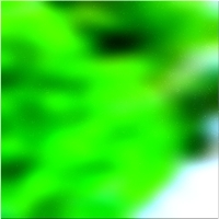 200x200 Картинки Зеленое лесное дерево 02 217