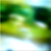 200x200 Clip art Árbol forestal verde 02 223