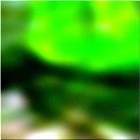 200x200 Картинки Зеленое лесное дерево 02 231