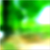 200x200 قصاصة فنية شجرة الغابة الخضراء 02 235
