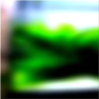 200x200 Картинки Зеленое лесное дерево 02 247