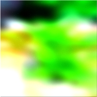 200x200 Clip art Green forest tree 02 26