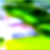 200x200 Картинки Зеленое лесное дерево 02 268