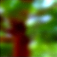 200x200 Картинки Зеленое лесное дерево 02 280