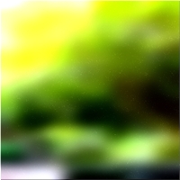 200x200 Clip art Green forest tree 02 289