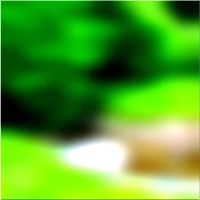 200x200 قصاصة فنية شجرة الغابة الخضراء 02 307