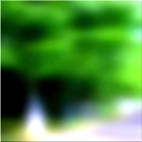 200x200 Картинки Зеленое лесное дерево 02 308