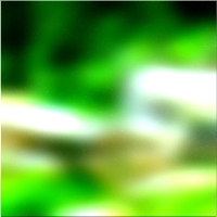 200x200 قصاصة فنية شجرة الغابة الخضراء 02 32