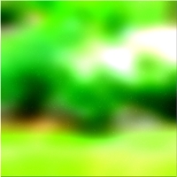200x200 Clip art Árbol forestal verde 02 321