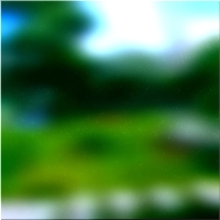 200x200 Картинки Зеленое лесное дерево 02 339