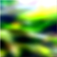 200x200 Картинки Зеленое лесное дерево 02 35