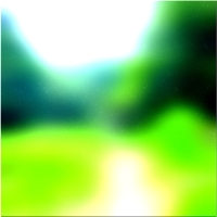 200x200 Картинки Зеленое лесное дерево 02 367
