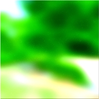 200x200 قصاصة فنية شجرة الغابة الخضراء 02 388