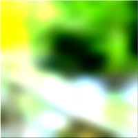 200x200 Картинки Зеленое лесное дерево 02 40