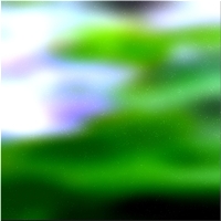 200x200 Картинки Зеленое лесное дерево 02 408