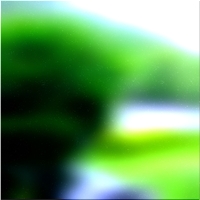 200x200 Clip art Green forest tree 02 433