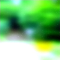 200x200 Clip art Green forest tree 02 458