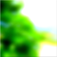200x200 क्लिप आर्ट हरे भरे जंगल का पेड़ 02 459