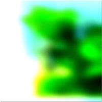 200x200 Картинки Зеленое лесное дерево 02 462