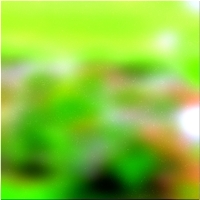200x200 Clip art Árbol forestal verde 02 464