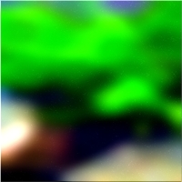 200x200 Картинки Зеленое лесное дерево 02 485