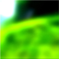 200x200 Картинки Зеленое лесное дерево 02 488