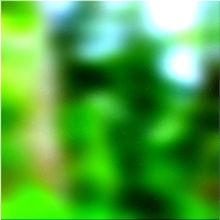 200x200 قصاصة فنية شجرة الغابة الخضراء 02 49