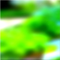 200x200 Clip art Arbre de la forêt verte 02 62