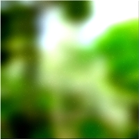 200x200 Clip art Green forest tree 02 67