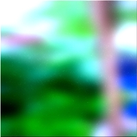 200x200 قصاصة فنية شجرة الغابة الخضراء 02 89