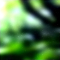200x200 Clip art Arbre de la forêt verte 02 9