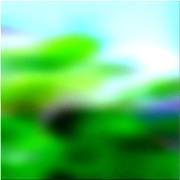 200x200 Картинки Зеленое лесное дерево 03 11