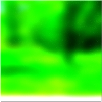 200x200 Картинки Зеленое лесное дерево 03 112