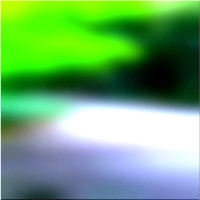 200x200 Картинки Зеленое лесное дерево 03 132