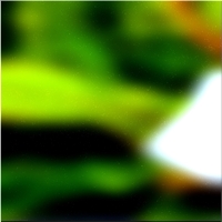 200x200 Clip art Arbre de la forêt verte 03 16