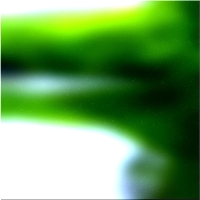 200x200 Картинки Зеленое лесное дерево 03 178