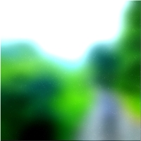 200x200 Clip art Arbre de la forêt verte 03 184