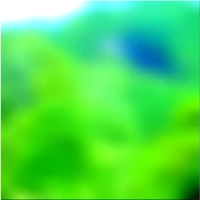 200x200 Картинки Зеленое лесное дерево 03 196