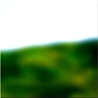 200x200 Картинки Зеленое лесное дерево 03 372