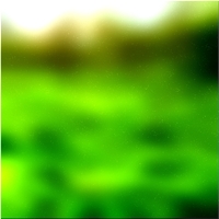 200x200 Картинки Зеленое лесное дерево 03 43